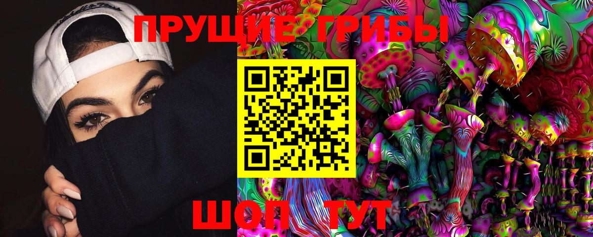 Псилоцибиновые грибы мухоморы  как найти наркотики  Тимашёвск  Вход с VPN 