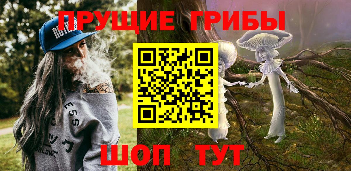 Псилоцибиновые грибы ЛСД Тимашёвск